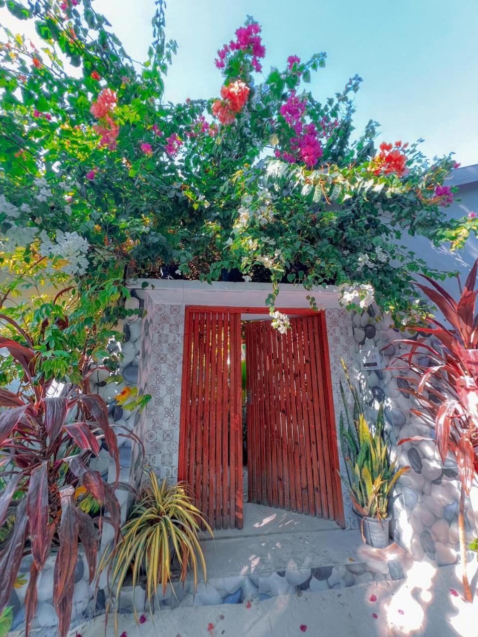 Thoddoo Haisha Inn, Maldives Экстерьер фото
